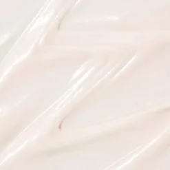 Adopt Action De Repulpage| Anti-Age