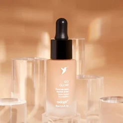 Adopt Alors Brille| Fondation