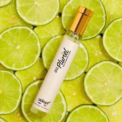 Adopt Au Pluriel| Delicat