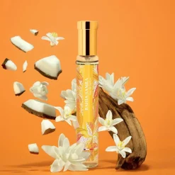 Adopt Bahia Samba| Solaire