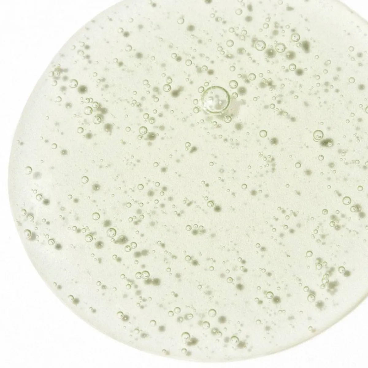 Adopt Barbier Francais| Nettoyage