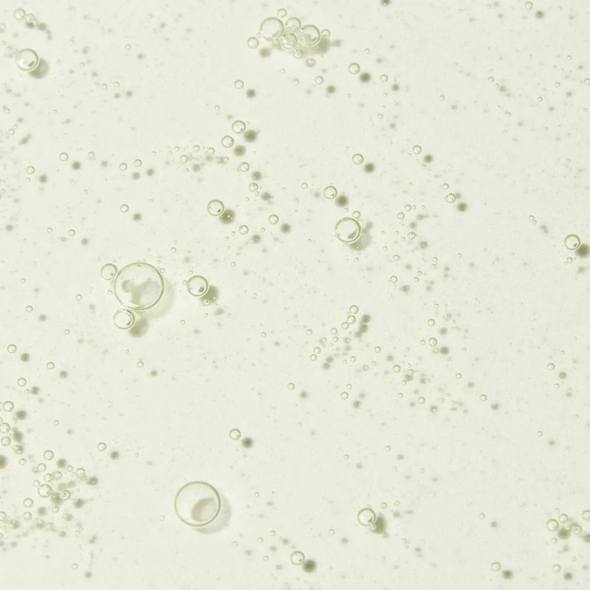 Adopt Barbier Francais| Nettoyage