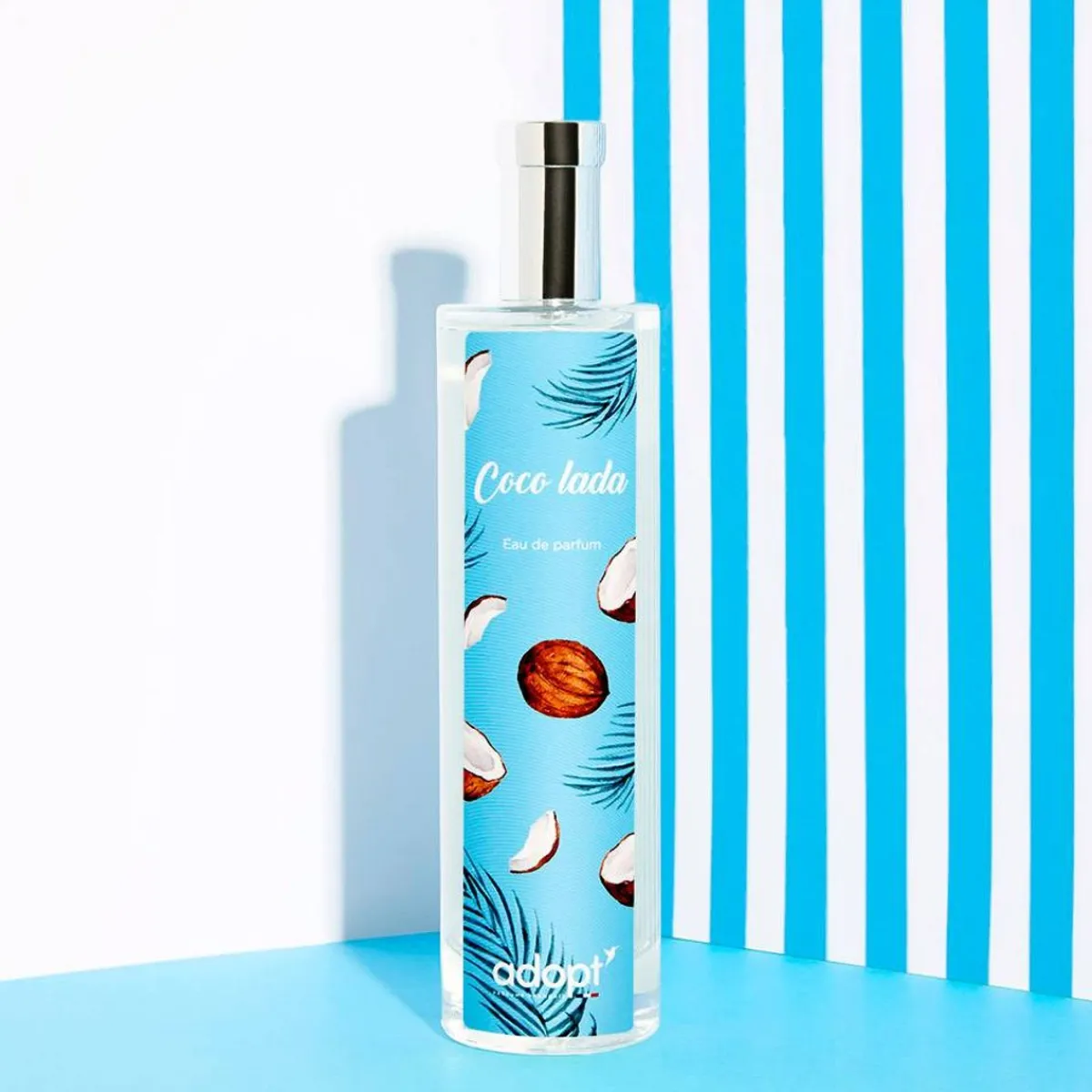 Adopt Coco Lada| Frais