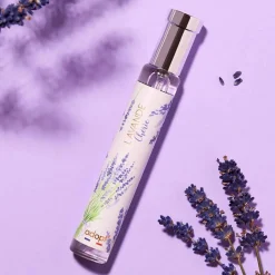 Adopt Lavande Cherie| Floral