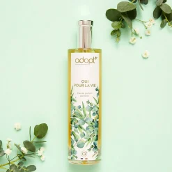 Adopt Oui Pour La Vie| Frais