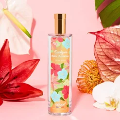 Adopt Quelques Mots D'Amour| Quelques Mots D'Amour