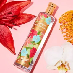 Adopt Quelques Mots D'Amour| Quelques Mots D'Amour