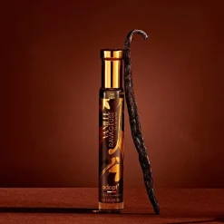 Adopt Vanille Ravageuse| Boise